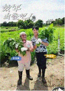 韩国美食综艺-夜宵研究所封面