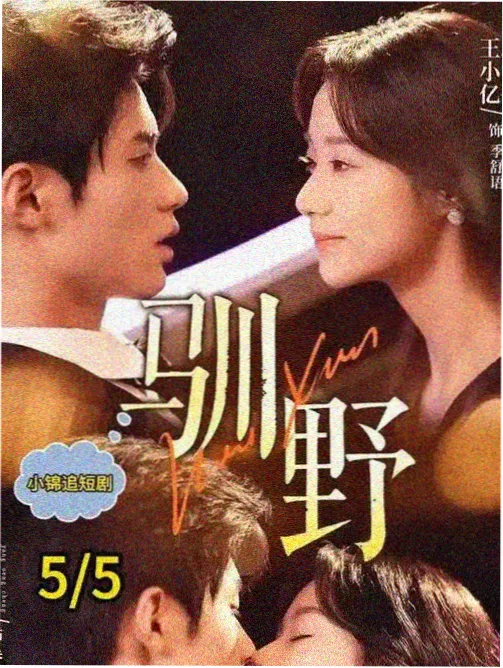 高分悬疑韩剧-长夜将尽封面